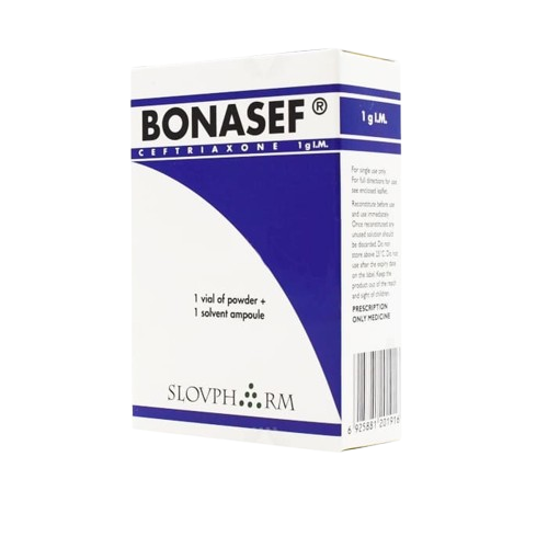 Bonasef  1 q  N1