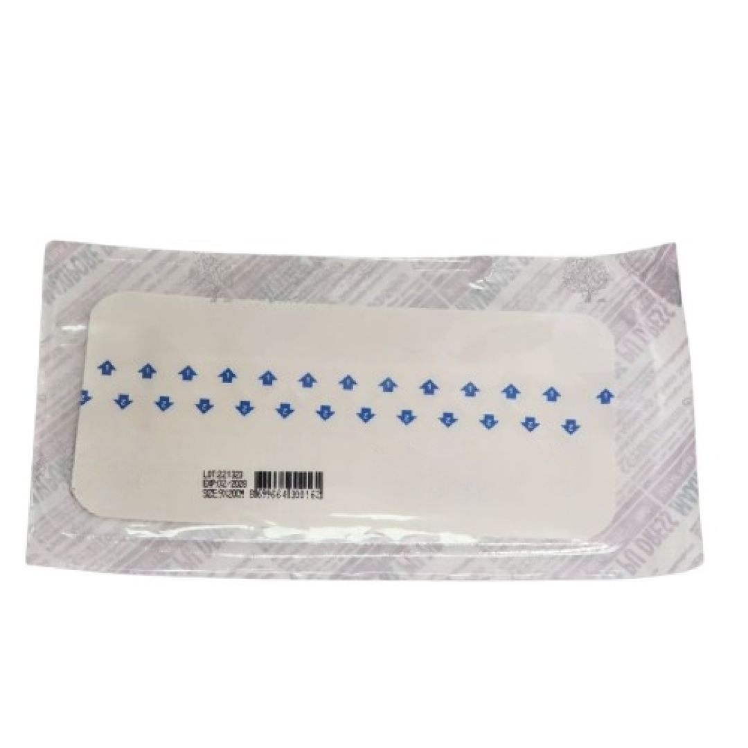 Leykoplastr Maxipor 9x20 sm №1