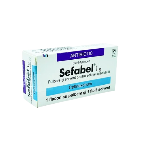 Sefabel  1 q