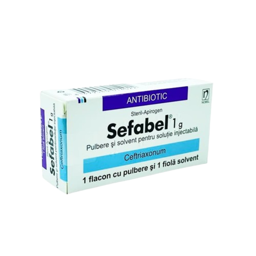 Sefabel 1qr №1 (Ampulalar) (Türkiyə)