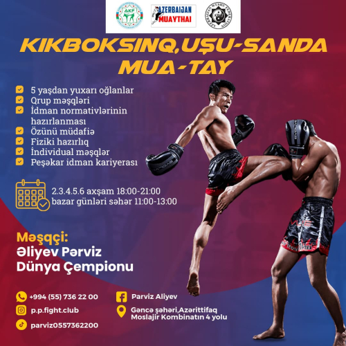Kikboksinq, Uşu Sanda, Mua Tay, Əliyev Pərviz