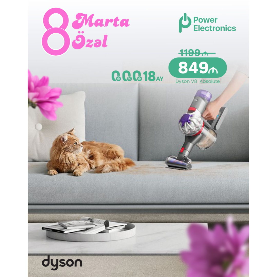 Tozsoran Dyson V8 Absolute satışı, Power Electronics