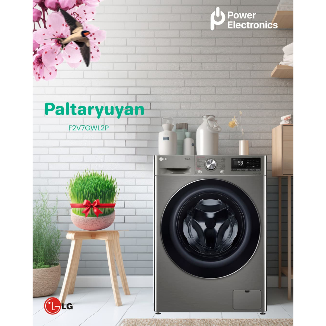Paltaryuyan LG F2V7GWL2P, Power Electronics