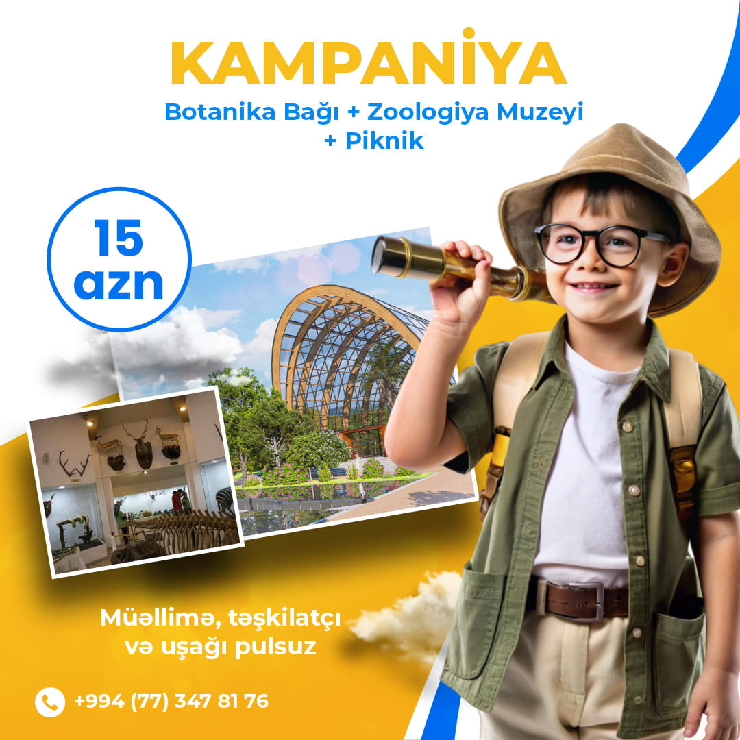 Uşaqlar üçün piknik, Liman Travel