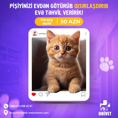 Pişiklərin qısırlaştırılması, Univet