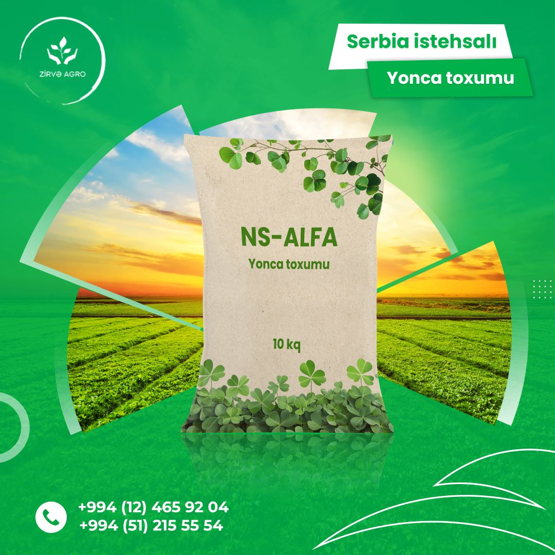 NS-Alfa Yonca toxumu, Zirvə Agro NS-Alfa Yonca toxumu, Zirvə Agro