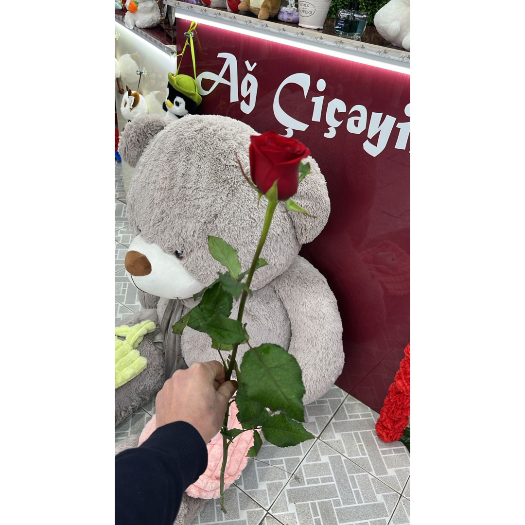 Tək qizilgül