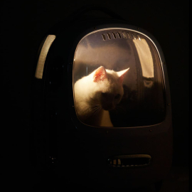 Petkit Breezy2 Smart Cat Carrier