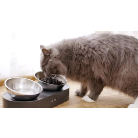 Petkit Fresh Nano Metal Adjustable Double Bowls