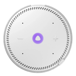 Ağıllı stansiya Yandex Mini Plus Gray (YNDX-00020G)