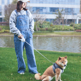Petkit Go free Max Dog Retractable leash