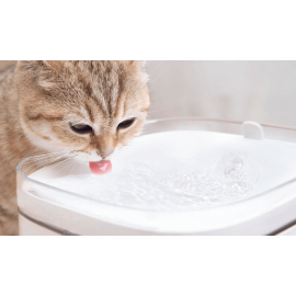 Xiaomi Smart Pet Fountain