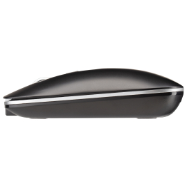 Mouse 2E-MF290WB