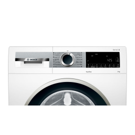 Paltaryuyan maşın BOSCH WGA242X0ME