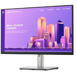 Monitor Dell P2422H (210-AZYX)