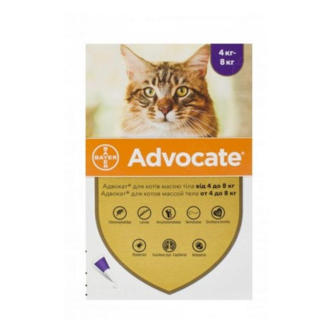 Advocate 4-8kq olan pişiklər üçün endoekt