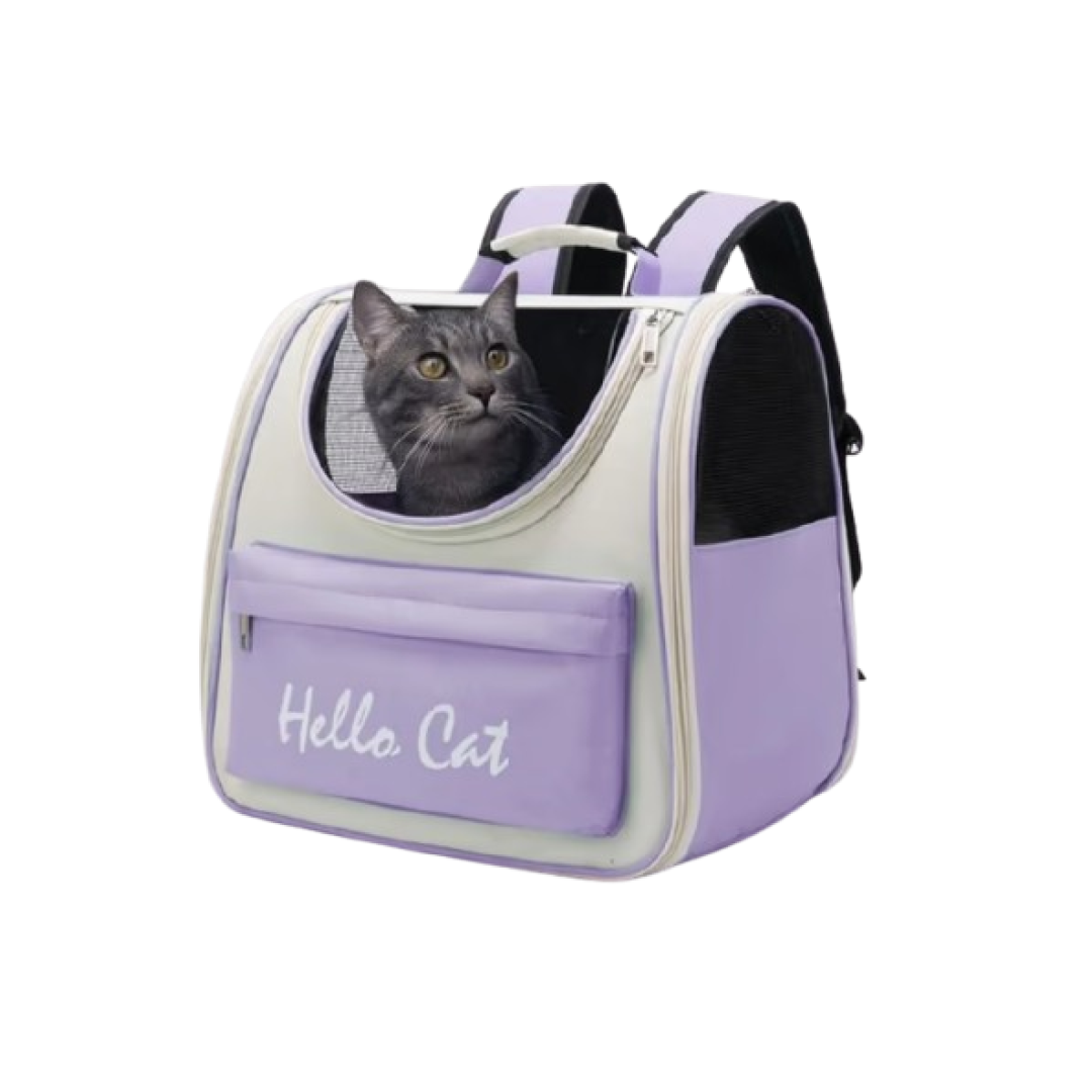 Hello Cat pişik daşıma çantası bənövşəyi