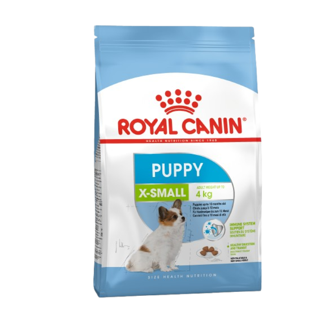 Quru it yemi Royal Canin 10 Aya Qədər Kiçik Cins Balalar üçün (500 qr)