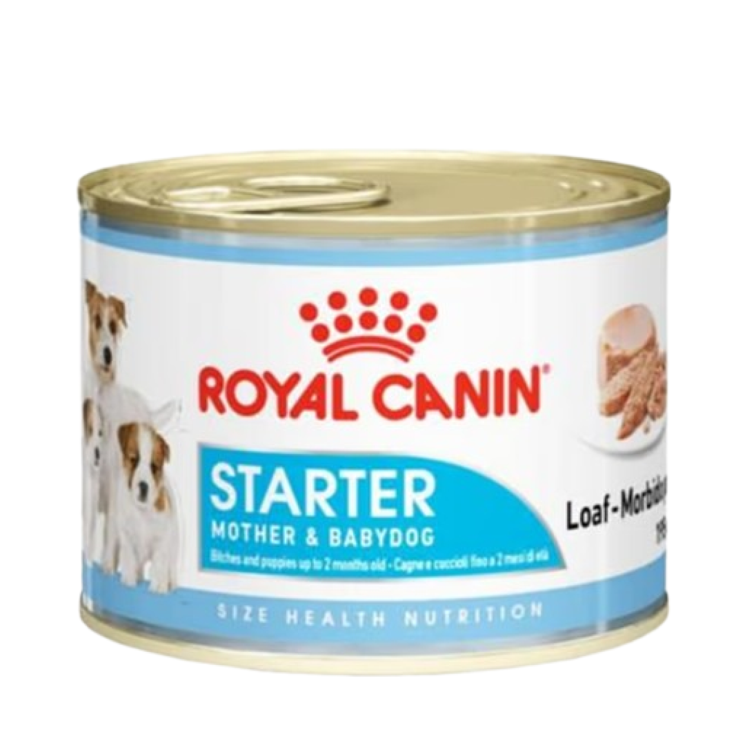 Royal Canin Mini Starter Pastası, 2 Aya Qədər Süd Verən İtlər Və Balalar üçün