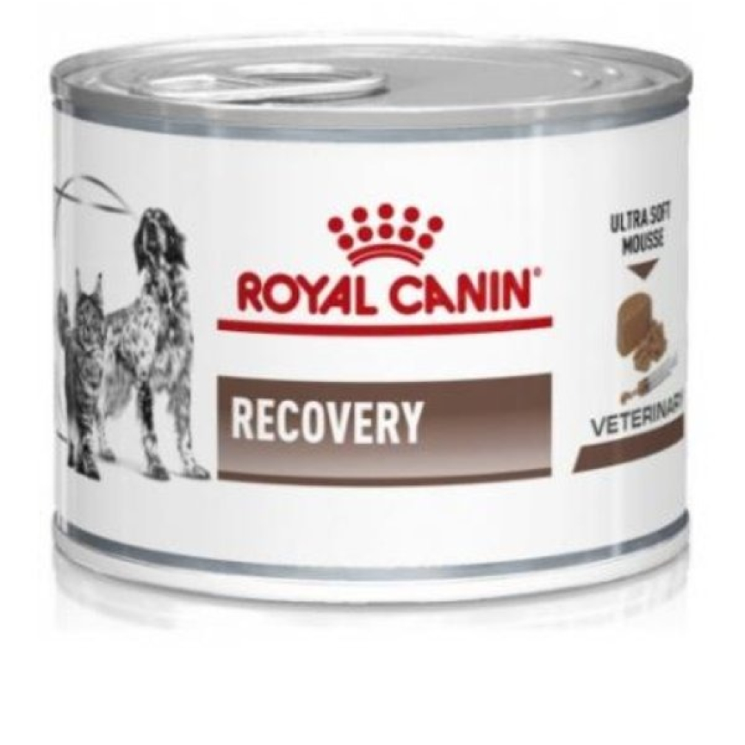 Yaş pişik yemi Royal Canin Recovery