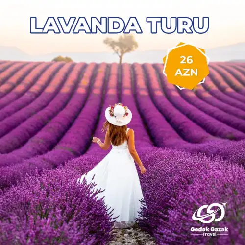 Lavanda Turu, Gedək Gəzək Travel