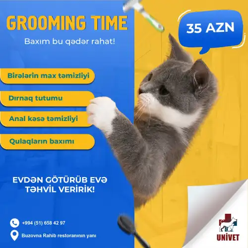 Pişiklər üçün baxım, Univet