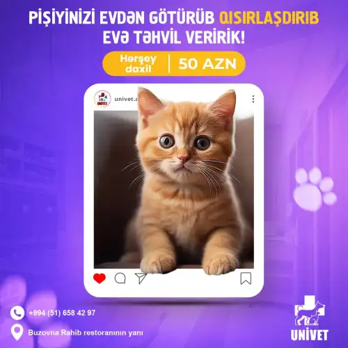 Pişiklərin qısırlaştırılması, Univet